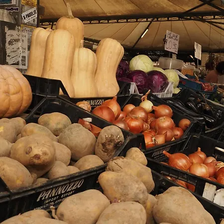 Regina Margherita Casa